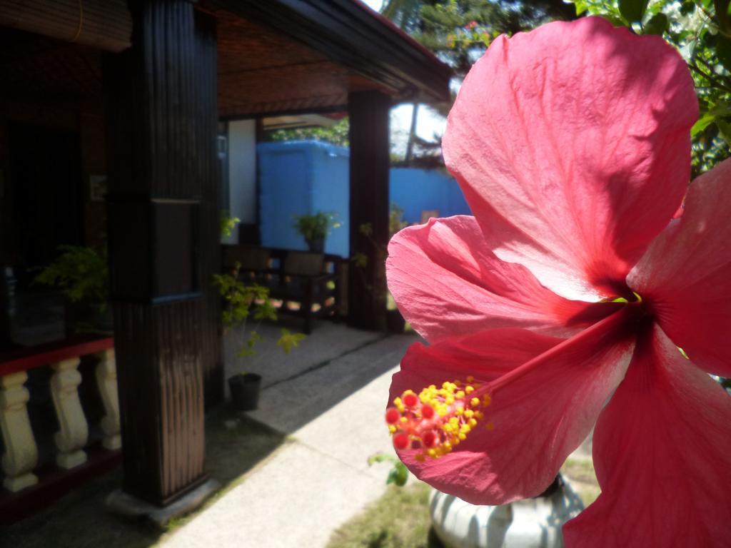 Casakeja Inn Panglao Εξωτερικό φωτογραφία