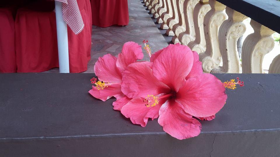 Casakeja Inn Panglao Εξωτερικό φωτογραφία